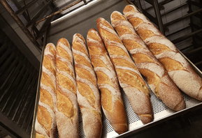 Baguettes der Stiftsbäckerei Hubert Nagl