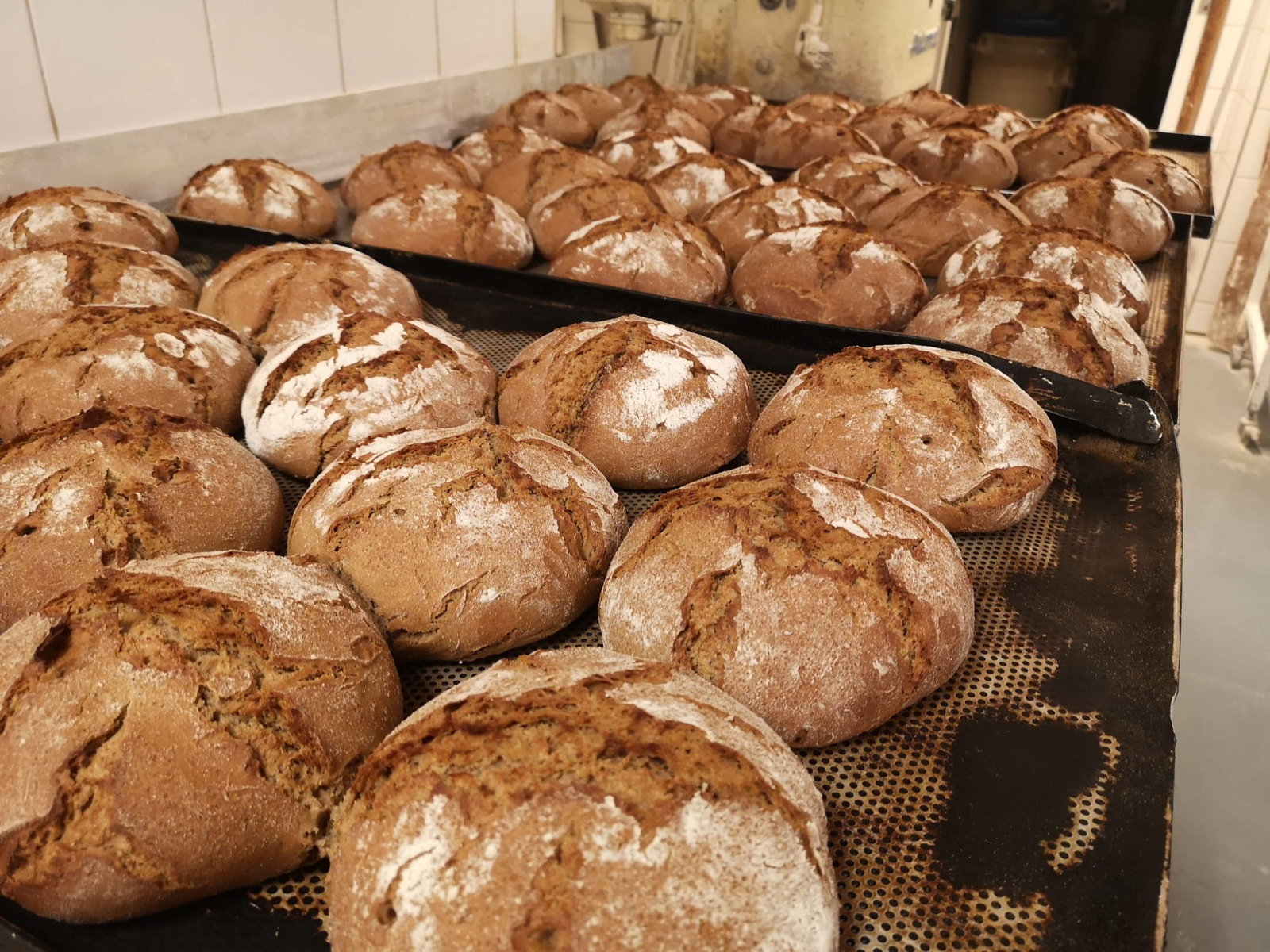 Schwarzbrotlaibe von der Stiftsbäckerei Nagl