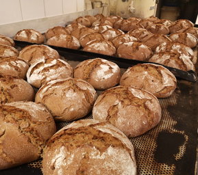 Bauernbrot der Stiftsbäckerei Nagl